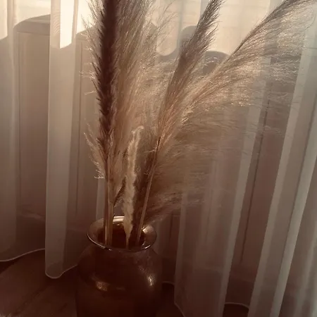 Apartment Silver Balatonboglar