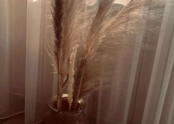 Daire Silver Balatonboglár